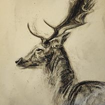 Mon projet du cours : Illustration d'animaux au fusain et à l'encre. Fine Arts, Drawing, and Naturalistic Illustration project by Kevin Candusso - 03.18.2024