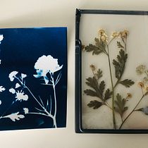 Mein Abschlussprojekt für den Kurs: Cyanotypie: Drucktechnik mit Licht. Un projet de Artisanat, Beaux Arts, Estampe, DIY , et Photographie argentique de leniohz - 15.03.2024