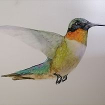 My project for course: Artistic Watercolor Techniques for Illustrating Birds. Traditional illustration, Watercolor Painting, Realistic Drawing, and Naturalistic Illustration project by bejuleo1 - 03.19.2024