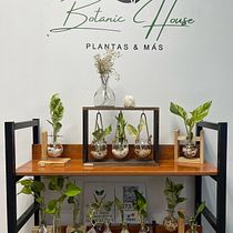 Mi proyecto del curso: Marketing de contenidos para redes sociales Ein Projekt aus dem Bereich Marketing, Digitales Marketing, Content-Marketing, Marketing für Facebook, YouTube Marketing und Marketing für Instagram von Botanic House - 20.03.2024