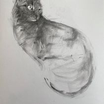 Mon projet du cours : Dessin expressif au fusain. Fine Arts, Drawing, Portrait Drawing, and Naturalistic Illustration project by mariednt - 03.20.2024