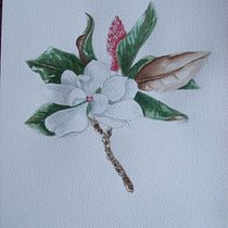 Mon projet du cours : Illustration botanique à l’aquarelle. Traditional illustration, Fine Arts, Painting, Drawing, Watercolor Painting, and Botanical Illustration project by gigilarose - 03.20.2024