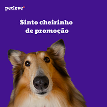 Meu projeto do curso: Copywriting: princípios da redação publicitária é sobre uma promoção de 24h na Petlove . Advertising, Marketing, Cop, writing, Creativit, and Content Writing project by Martha Oliveira - 03.08.2024