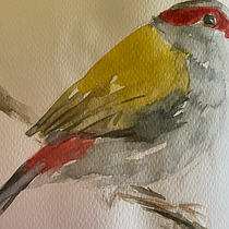 My project for course: Experimental Watercolor Techniques for Beginners. Un progetto di Illustrazione tradizionale, Belle arti, Pittura ad acquerello e Illustrazione naturalistica di msdonsey - 21.03.2024