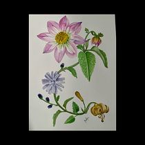 Mi proyecto del curso: Acuarela realista para composiciones botánicas. Un projet de Illustration traditionnelle, Peinture, Dessin, Aquarelle et Illustration botanique de Marimar Gomez - 21.03.2024