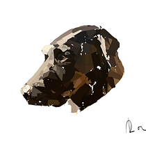 Mi proyecto del curso: Creación de caricaturas con Infinite Painter. Un projet de Illustration traditionnelle et Illustration numérique de Roc Martos - 22.03.2024