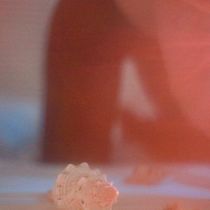 Mi proyecto del curso: Fotografía expresiva: captura imágenes jugando con la luz. Un projet de Photographie, Retouche photographique, Photographie de mode, Éclairage photographique, Photographie numérique, Photographie lifest , et le de doloresganuza98 - 22.03.2024