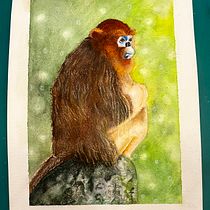My project for course: Expressive Animal Portraits in Watercolor. Un proyecto de Ilustración tradicional, Pintura a la acuarela, Dibujo realista e Ilustración naturalista				 de annette_b - 15.03.2024