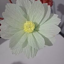 Meu projeto do curso: Design de flores realistas com papel. Un projet de Papercraft, Décoration , et DIY de angelitahfranzoi - 20.03.2024