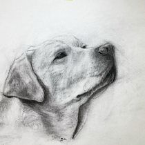 My project for course: Animal Illustration with Charcoal and Ink. Fine Arts, Drawing, Ink Illustration, and Naturalistic Illustration project by Emma B - 03.17.2024
