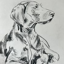My project for course: Animal Illustration with Charcoal and Ink. Fine Arts, Drawing, Ink Illustration, and Naturalistic Illustration project by Leonie van Passel - 03.22.2024