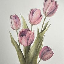 Mein Abschlussprojekt für den Kurs: Naturillustration mit Aquarell und Stift. Traditional illustration, Fine Arts, Painting, Drawing, Watercolor Painting, and Botanical Illustration project by Coralie Fritzenwanker - 03.22.2024