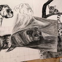 Mi proyecto del curso: Ilustración de animales con carboncillo y tinta. Fine Arts, Drawing, Ink Illustration, and Naturalistic Illustration project by Andrea Margarita Saracho Amieva - 03.22.2024
