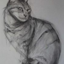 My project for course: Expressive Drawing with Charcoal. Fine Arts, Drawing, Portrait Drawing, and Naturalistic Illustration project by Hilary White - 03.22.2024