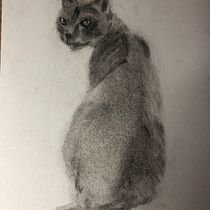 Mon projet du cours : Dessin expressif au fusain. Fine Arts, Drawing, Portrait Drawing, and Naturalistic Illustration project by fabiennebegonia - 03.23.2024