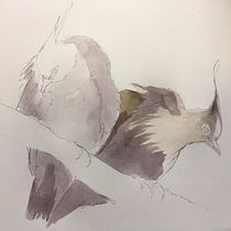 My project for course: Artistic Watercolor Techniques for Illustrating Birds. Traditional illustration, Watercolor Painting, Realistic Drawing, and Naturalistic Illustration project by jumamurphy - 03.25.2024