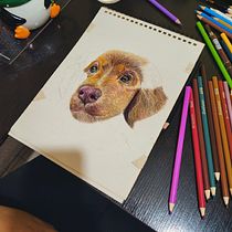 Mi proyecto del curso: Retratos de Mascotas en Lápices de Colores. Traditional illustration, and Naturalistic Illustration project by Monica Vazquez - 03.25.2024