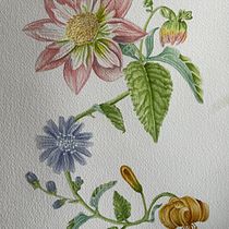 My project for course: Realistic Watercolor for Botanical Compositions. Un projet de Illustration traditionnelle, Peinture, Aquarelle et Illustration botanique de dellavaldaveto - 26.03.2024