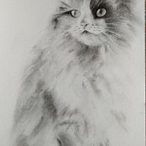 Il mio progetto del corso: Disegno espressivo al carboncino. Fine Arts, Drawing, Portrait Drawing, and Naturalistic Illustration project by Lussi Bascetta - 03.27.2024