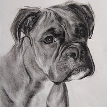 My project for course: Animal Illustration with Charcoal and Ink. Fine Arts, Drawing, Ink Illustration, and Naturalistic Illustration project by Lisa Branney - 03.27.2024