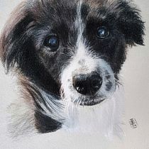 Il mio progetto del corso: Ritratto di animali da compagnia con matite colorate. Traditional illustration, and Naturalistic Illustration project by Barbara Baiano - 03.27.2024