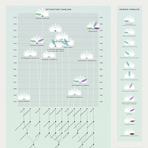 My project for course: Data Visualization with Photoshop: Illustrate Complex Information. Un proyecto de Diseño gráfico, Diseño de la información e Infografía de Cal - 26.03.2024