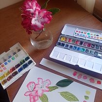 Mi proyecto del curso: Cuaderno botánico en acuarela. Projekt z dziedziny Trad, c, jna ilustracja, Malowanie akwarelą, R, sunek botaniczn i Sketchbook użytkownika ROCÍO NIETO - 28.03.2024
