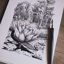 My project for course: Dip Pen and Ink Illustration: Capturing The Natural World. Projekt z dziedziny Sketching,  R, sunek,  R, sunek art, st, czn, Sketchbook,  R, sunek atramentem, Ilustracja naturalist i czna użytkownika Eliana Patricia Gómez Rodríguez - 28.03.2024