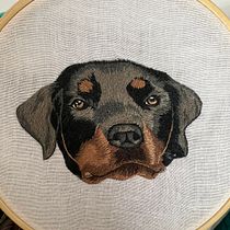 Mi proyecto del curso: Needle painting para principiantes. Un progetto di Ricamo, Illustrazione naturalistica e Textile Design di Camila Cuadros Sundquist - 29.03.2024