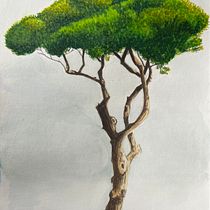 My project for course: Watercolor Painting: Explore Dry Brush Techniques. Fine Arts, Painting, Drawing, Watercolor Painting, Botanical Illustration, and Naturalistic Illustration project by taniyadennison - 03.30.2024