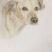 Mi proyecto del curso: Retratos de Mascotas en Lápices de Colores. Realistic Drawing, Colored Pencil Drawing, and Portrait Drawing project by julieta oliva - 03.30.2024