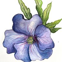 Mi proyecto del curso: Ilustración botánica con acuarela. Traditional illustration, Fine Arts, Painting, Drawing, Watercolor Painting, and Botanical Illustration project by shadine - 03.31.2024