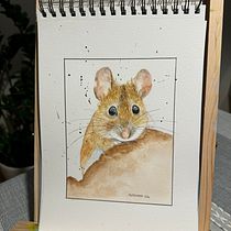 Il mio progetto del corso: Illustrazione realistica di animali selvatici ad acquerello . % Alessandra Roncagliolo tarafından hazırlanan Güzel sanatlar, Tablo, Sulubo, a Resim, Doğalcı İllüstras, Ve on projesi - 04.01.2024