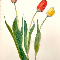Mon projet du cours : Carnet de croquis botanique : une approche méditative. Ilustração tradicional, Esboçado, Desenho, Pintura em aquarela, Ilustração botânica, e Sketchbook projeto de grazanajatovo - 01.04.2024