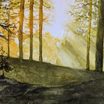 My project for course: Dreamy Watercolor Landscapes: Paint with Light. Pintura, e Pintura em aquarela projeto de lasullivan164 - 02.04.2024