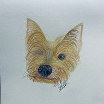 Mi proyecto del curso: Retratos de Mascotas en Lápices de Colores. Traditional illustration, and Naturalistic Illustration project by caatalopez10 - 04.02.2024