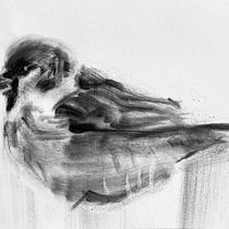 My project for course: Expressive Drawing with Charcoal. Fine Arts, Drawing, Portrait Drawing, and Naturalistic Illustration project by Leonie van Passel - 04.02.2024