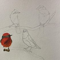 Mi proyecto del curso: Acuarela artística para ilustración de aves. Traditional illustration, Watercolor Painting, Realistic Drawing, and Naturalistic Illustration project by lucitg98_tg - 04.02.2024