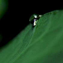 Después de la lluvia, serie de 3. Een project van Fotografie, Digitale fotografie y Fotografische compositie van Theo Aguilar - 01.04.2023
