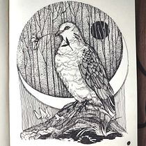 My project for course: Realistic Illustration of Birds with Imaginative Elements. Pencil Drawing, Drawing, Ink Illustration, and Naturalistic Illustration project by Olena Andrushchenko - 04.04.2024