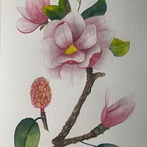 My project for course: Botanical Illustration with Watercolors. Traditional illustration, Fine Arts, Painting, Drawing, Watercolor Painting, and Botanical Illustration project by sjjk_s - 04.06.2024