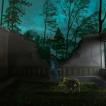 Mon projet du cours : Les secrets du photomontage et de la retouche créative. Photograph, Photograph, Post-production, VFX, Photo Retouching, Fine-Art Photograph, Photographic Composition, and Photomontage project by chrisdavebenge - 04.06.2024