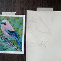 Mi proyecto del curso: Acuarela artística para ilustración de aves. Traditional illustration, Watercolor Painting, Realistic Drawing, and Naturalistic Illustration project by Liane Heraldin Rodriguez Daza - 04.07.2024