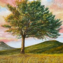 Il mio progetto del corso: Pittura ad acquerello: esplora le tecniche del pennello asciutto. Fine Arts, Painting, Drawing, Watercolor Painting, Botanical Illustration, and Naturalistic Illustration project by Egidio Calabrese Violetta - 04.07.2024