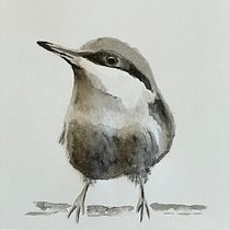 Mijn project van de cursus: Vogels illustreren met artistieke aquarel. Traditional illustration, Watercolor Painting, Realistic Drawing, and Naturalistic Illustration project by André Boontjes - 04.07.2024