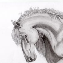 My project for course: Realistic Wildlife Images in Graphite Pencil. Un projet de Beaux Arts, Dessin au cra, on, Dessin, Dessin réaliste et Illustration naturaliste de Denise DESENEPART - 07.04.2024