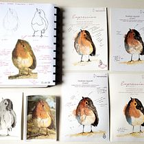 Meu projeto do curso: Aquarela naturalista com expressão e personalidade. Traditional illustration, Watercolor Painting, and Naturalistic Illustration project by Manoela Pietta Lorenzi - 04.06.2024