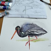 Meu projeto do curso: Aquarela naturalista com expressão e personalidade. Traditional illustration, Watercolor Painting, and Naturalistic Illustration project by Maristela Comparsi - 04.10.2024