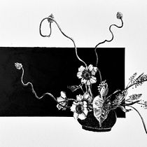 My project for course: Contemporary Botanical Illustration with Ink. Un projet de Illustration traditionnelle, Dessin artistique, Illustration botanique et Illustration à l'encre de deborah.n.ku - 10.04.2024