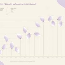 My project for course: Data Visualization and Information Design: Create a Visual Model. Infografia projeto de togotugce - 10.04.2024